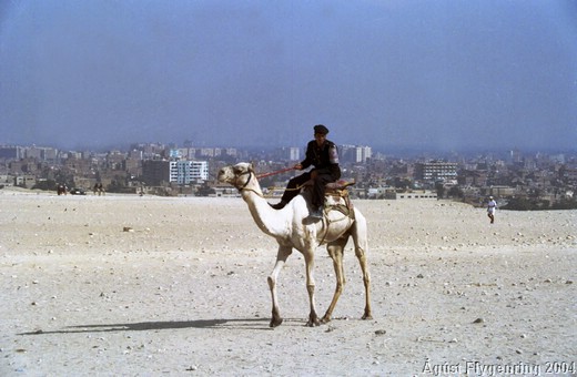 KODAK.029.jpg