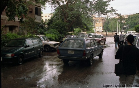 Raining in Cairo