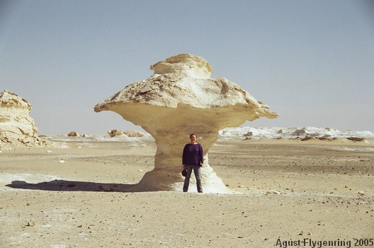 Aline and a big mushroom in the White Desert