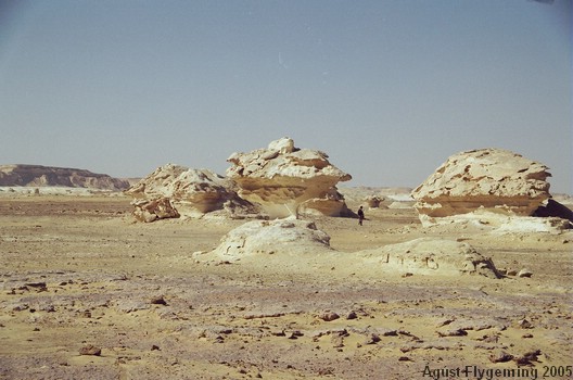 Mushrooms in the White Desert