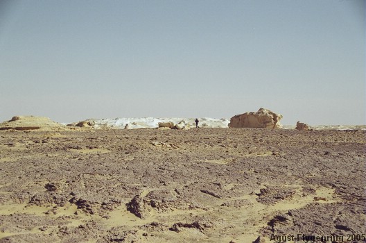 The White Desert