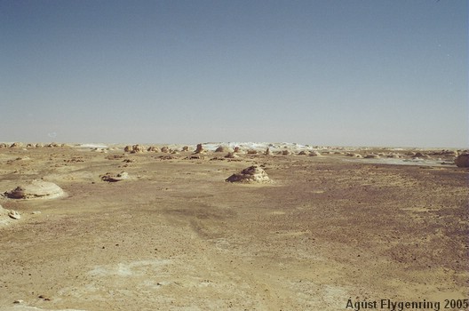 The White Desert