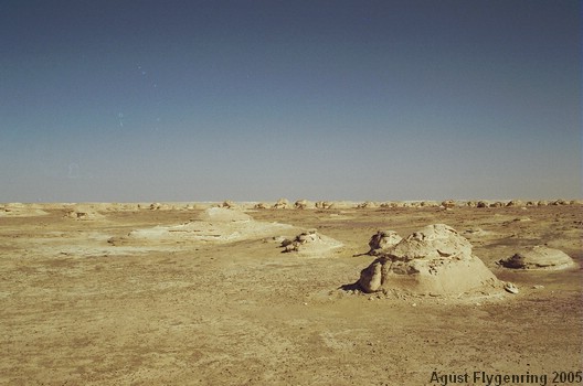 The White Desert