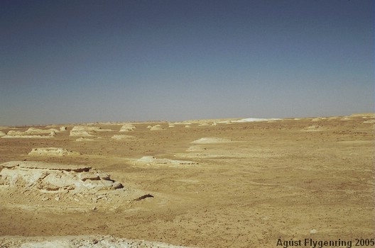 The White Desert