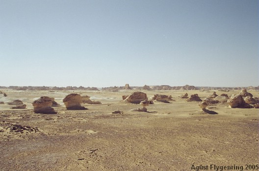 The White Desert