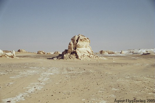 The White Desert
