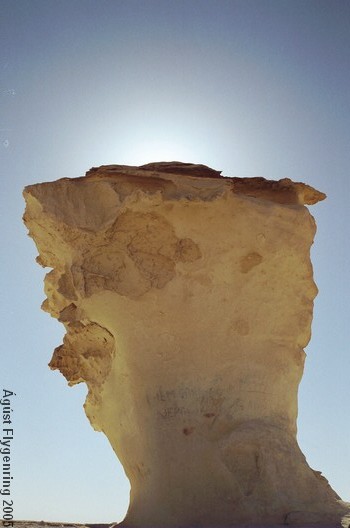 The White Desert