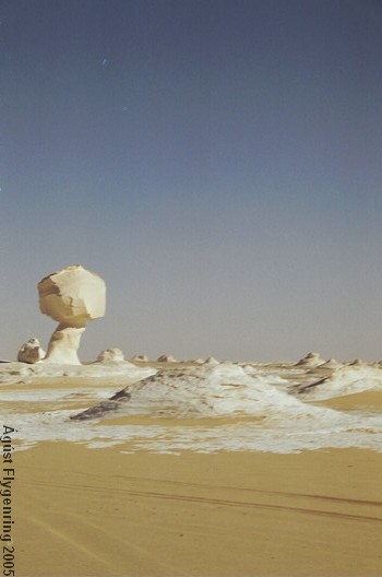 The White Desert