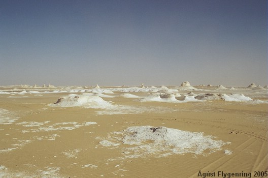 The White Desert