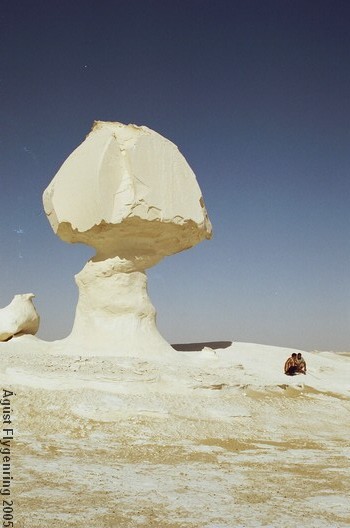A big mushroom in the White Desert