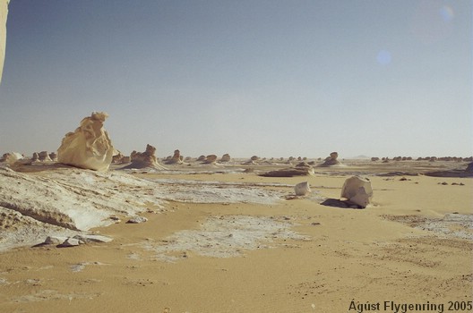 The White Desert
