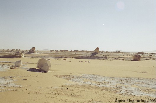 The White Desert