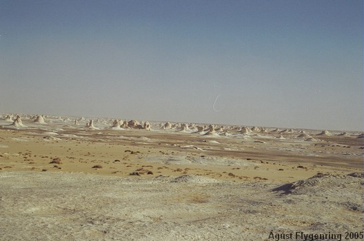 The White Desert