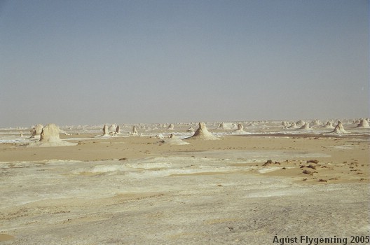 The White Desert