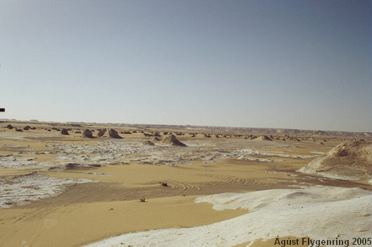 The White Desert