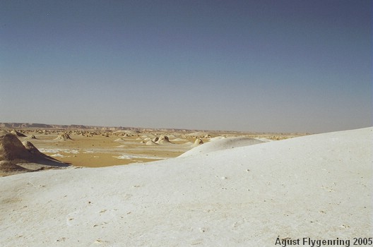 The White Desert