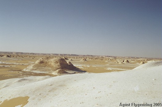The White Desert