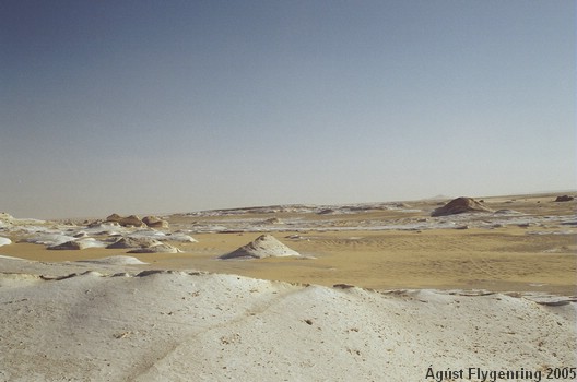 The White Desert