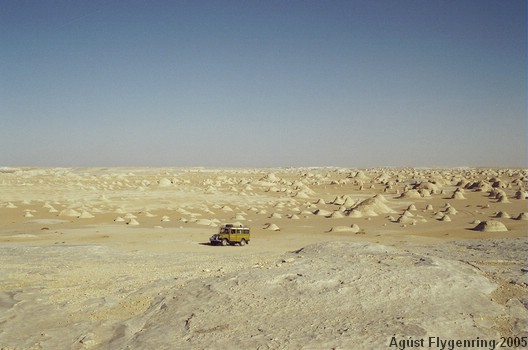 The White Desert