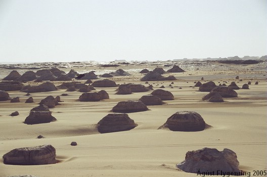 The White Desert