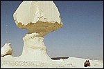 A big mushroom in the White Desert