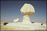 A big mushroom in the White Desert