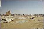 The White Desert