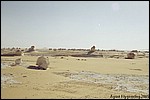 The White Desert