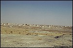 The White Desert