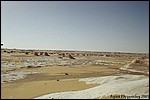 The White Desert