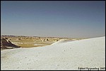 The White Desert