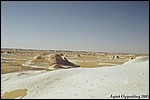 The White Desert