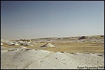 The White Desert