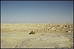 The White Desert