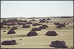 The White Desert