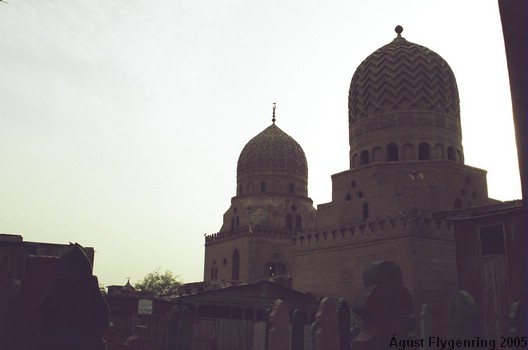 In the City of the Dead