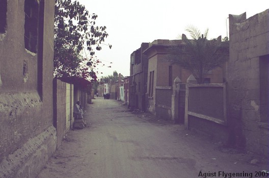 In the City of the Dead