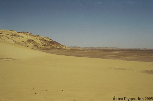 In the Black Desert