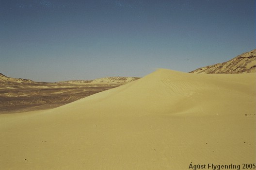 In the Black Desert