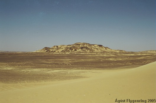 In the Black Desert