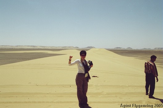 In the Black Desert