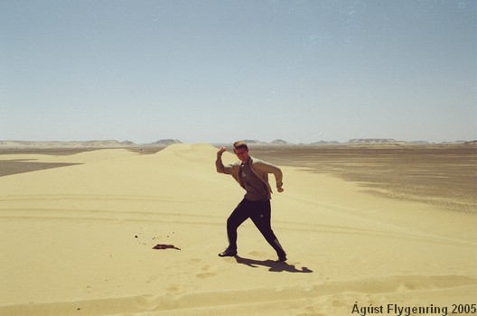 In the Black Desert