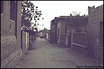 In the City of the Dead