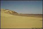 In the Black Desert
