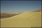 In the Black Desert
