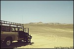 In the Black Desert