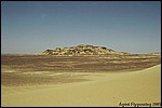 In the Black Desert