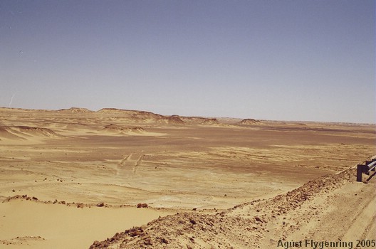 The Black Desert