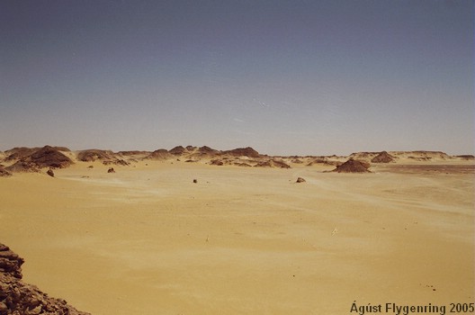 Looking into the Desert
