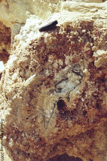A Crystal in the White Desert